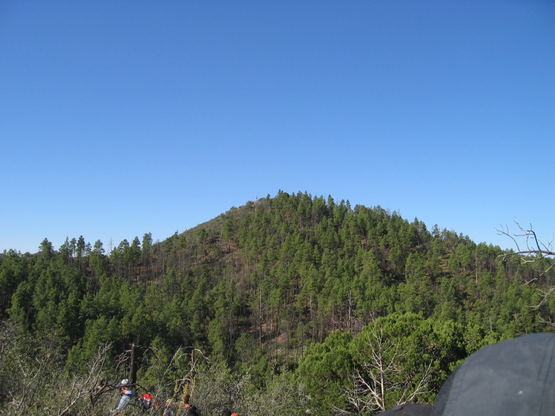 Looking at the next point T4