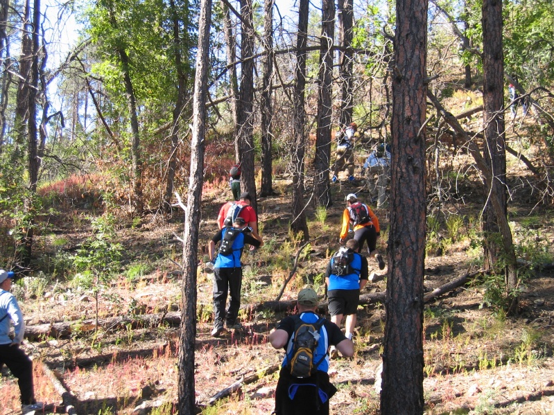 Three Team between T1 - T4