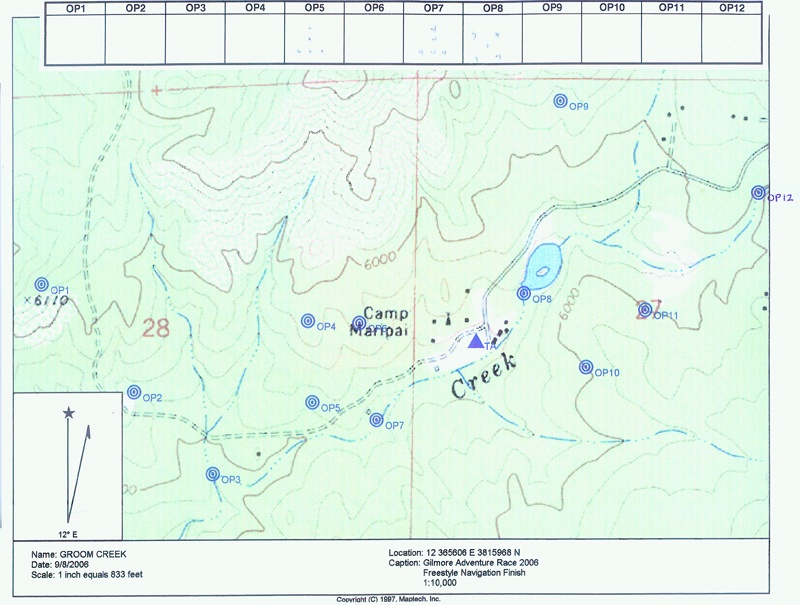 Free Style Check Point Card