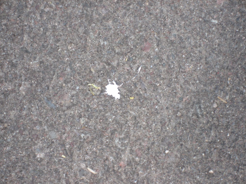 Nardo getting excited before ride