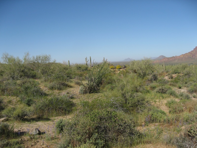 John and Nardo in the distance