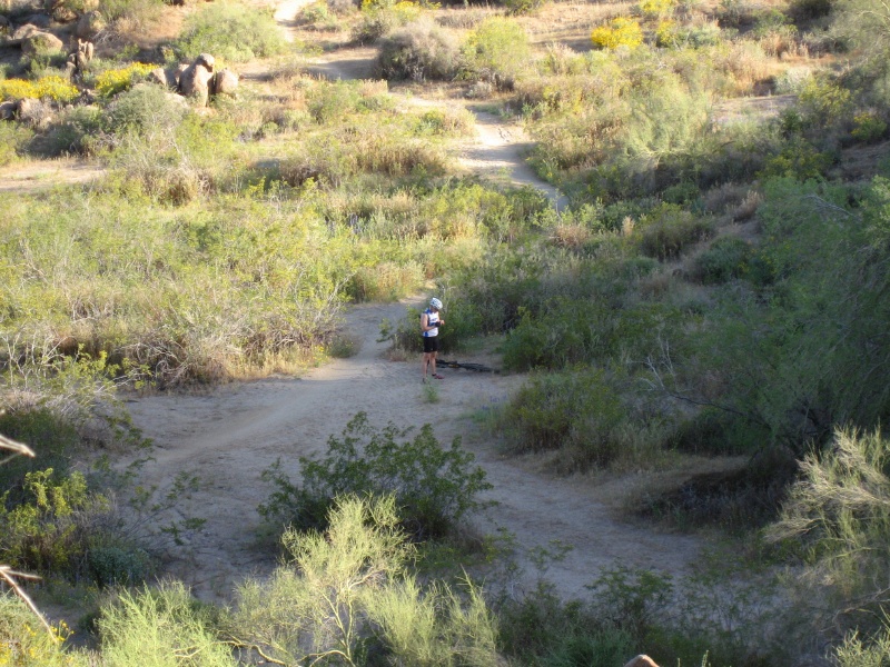 Nardo wondering where the water is